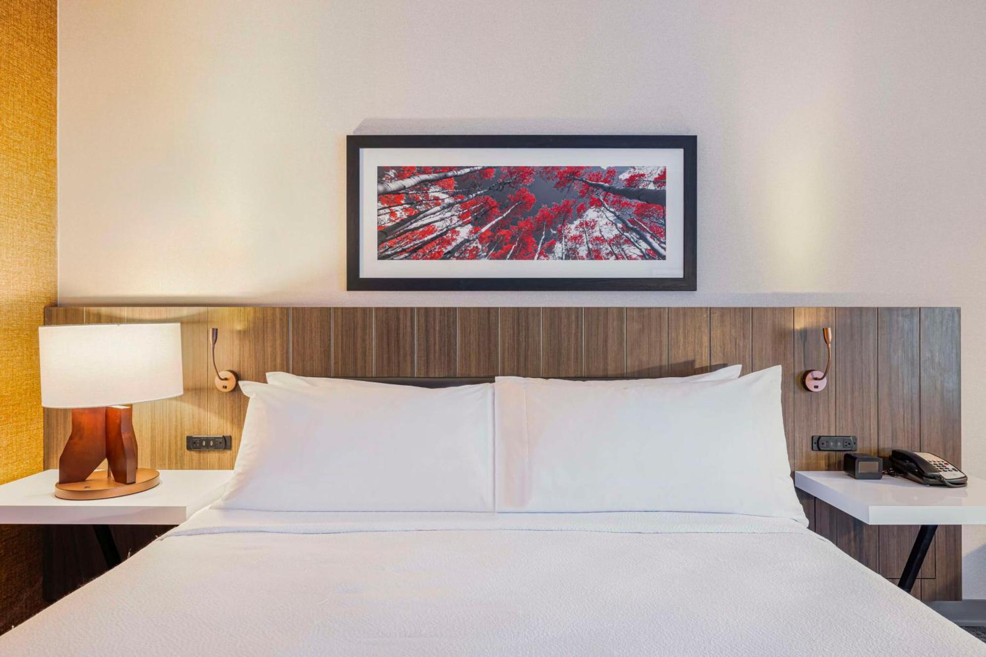 Hilton Garden Inn Colorado Springs Airport Екстер'єр фото
